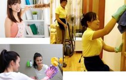 Những quy định chung về giải quyết tranh chấp lao động